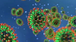 Что нужно знать о профилактике коронавирусной инфекции